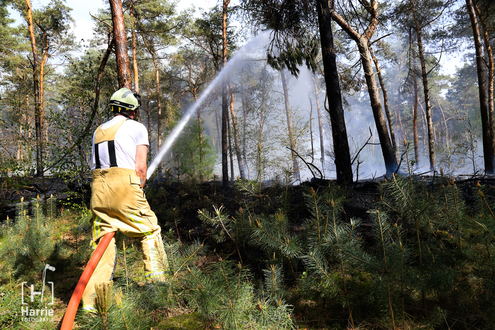 bosbrand vlierden_4302.jpg
